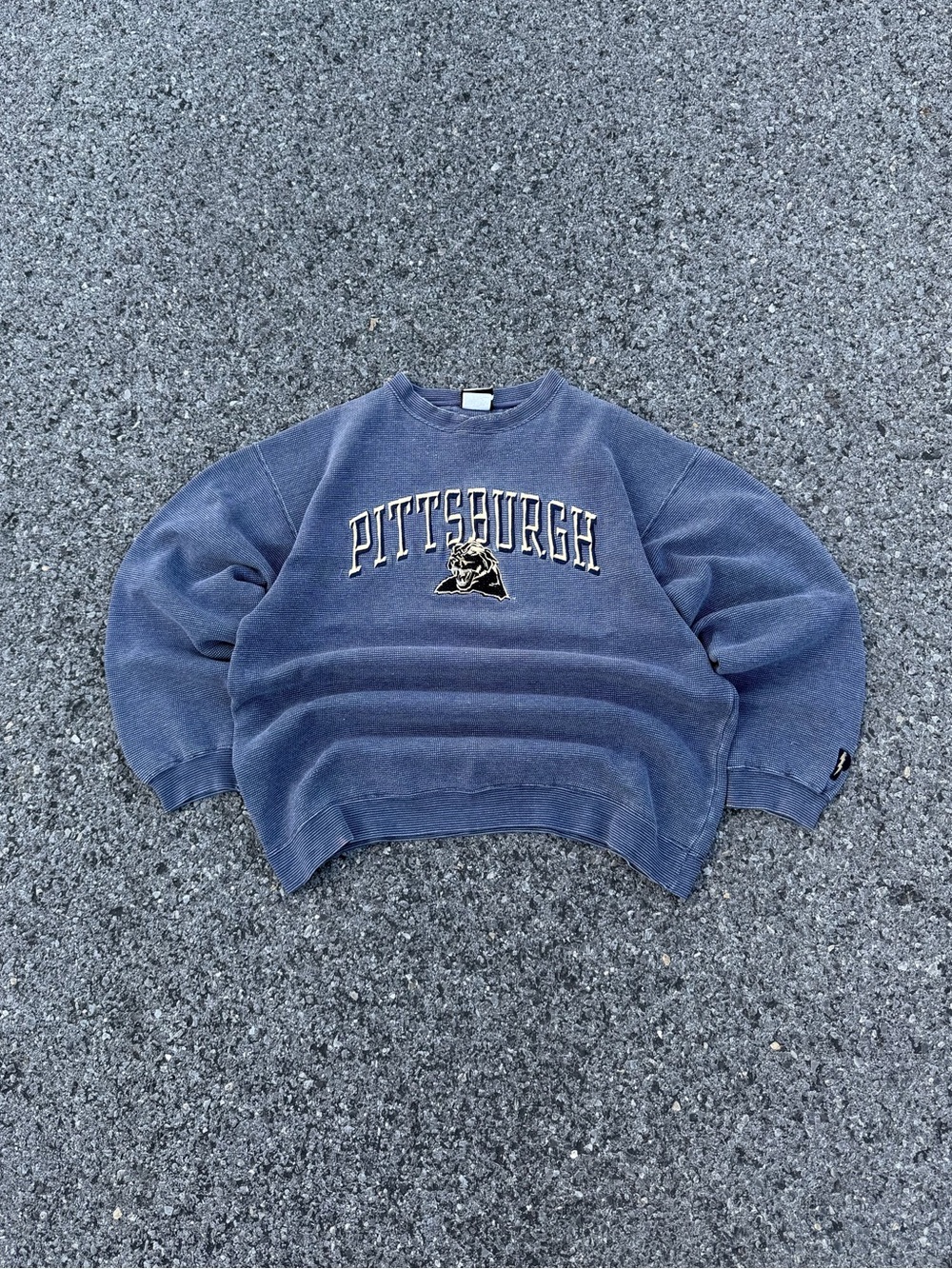 Vintage Pittsburgh Panthers Pitt Collegiate Crew Neck Pro Player Size L?